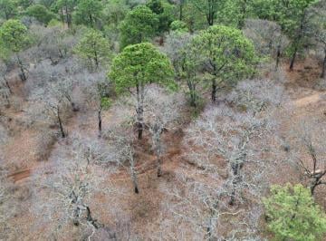 Terreno / Lote , Tapalpa · Terreno en Venta en Tapalpa Excelente Oportunidad de Inversión