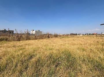 Terreno / Lote · 3200m² · Terreno en Arboledas (San Andrés)