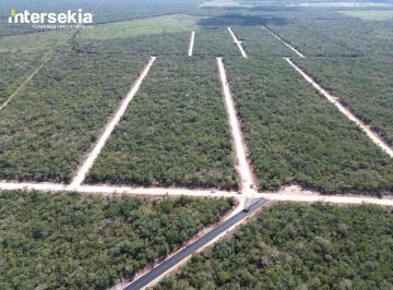 Terreno / Lote · 9630m² · Venta de Terreno Industrial en Intersekia Umán Yucatan