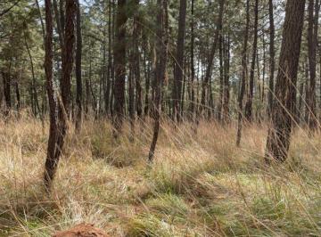 Terreno / Lote , Atemajac de Brizuela · Terreno en Venta