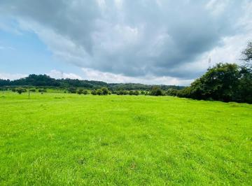 Terreno / Lote · 450000m² · Terreno a 5 Minutos del Rancho Avándaro