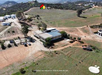 Terreno / Lote , Ensenada · Terreno con Hotel + Glamping en Renta | Proyecto en Operación | Valle de Guadalupe