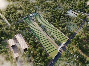 Terreno / Lote · 300m² · Lotes Residenciales Pasmiera en Venta, Ubicados en Tixcuytún.