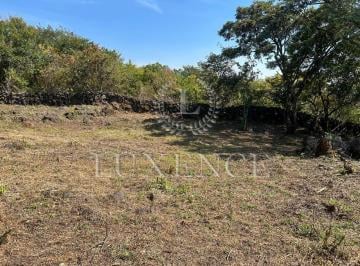Terreno / Lote · 1685m² · Terreno en Pueblo Santo Domingo Ocotitlán en Venta