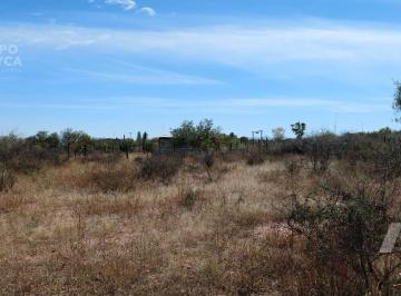 Terreno / Lote · 1000m² · Terreno en Colonia Sacramento