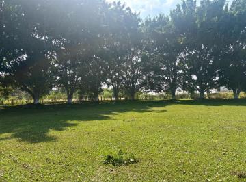 Terreno / Lote · 9986m² · Terreno - Pueblo El Lencero