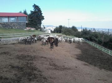 Rancho · 550000m² · 5 Recámaras · 20 Estacionamientos · Rancho San Miguel Ajusco