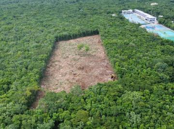 Terreno / Lote · 8m² · Terreno en Venta en Bosques del Caribe Uso Residencial