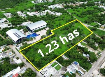 Terreno / Lote · 12223m² · Terreno en Renta en Cholul, Mérida, Yucatán