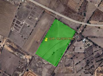 Terreno / Lote · 102915m² · Terreno en Venta San Lucas Xolox, Edo Mex. Sup. 10.2915 Has (Escriturado).