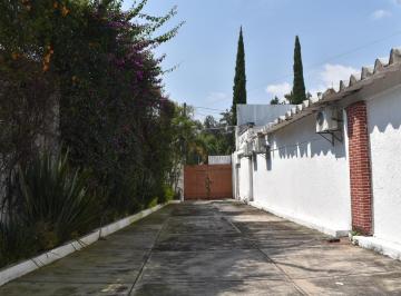 Oficina · 813m² · Oficina en Domingo Diez