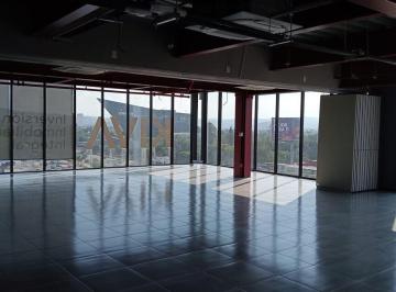 Oficina · 776m² · 23 Estacionamientos · Oficinas Sobre Av 5 de Febrero