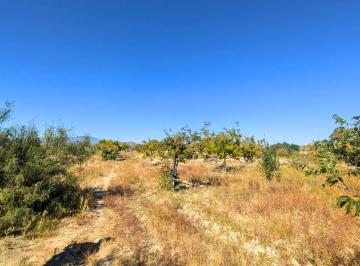 Huerta , Parras · Huerta con 2500 m² Superficie de Terreno en Venta, Ejido 6 de Enero