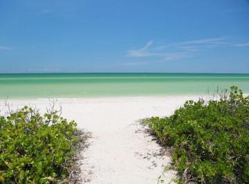 31ce8103bc4434d49177250ac16f95dc6806cd2566c994d0271c27489505e516 · Terreno en Venta Frente Al Mar en Sisal, Yucatán.