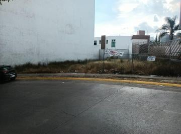 Terreno comercial · 342m² · Terreno en Renta Blvd. Campestre - (4)