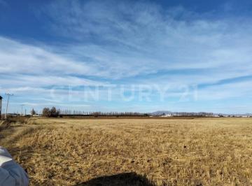 Terreno / Lote · 150000m² · - en Venta Terreno en Calle Ejercito Nacional Parcela 48 Cd. Cuauhtemoc, Chih