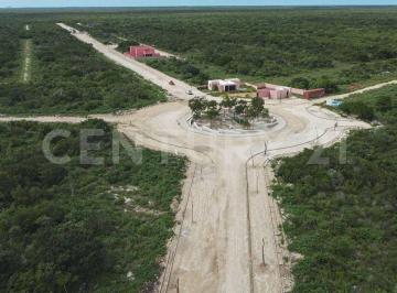 Terreno / Lote · 350m² · Lote Residencial con Servicios y Amenidades, San Crisanto, Yucatán