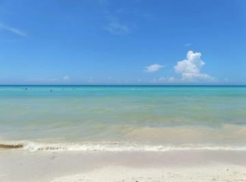 1a607ae45482bd4d102b20bcdcfc3eeef458169c22143f476909d6f614483646 · Terreno en Venta en Primera Línea de Playa Sisal - Hi