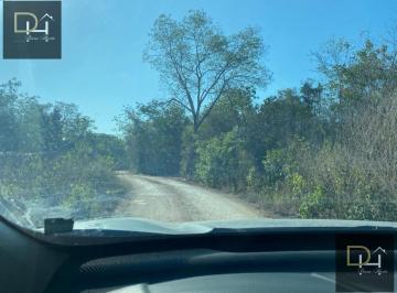 Terreno / Lote · 6000m² · Terreno en Renta en Autopista Merida - Cancún Km 292!