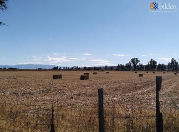 Terreno / Lote · 50000m² · Terreno en Venta en Rancho El Venado Durango