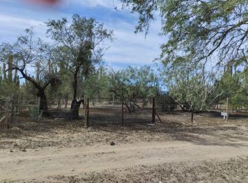 Terreno / Lote , La Paz · Terreno Rustico Cercado en Agua Amarga, Bcs