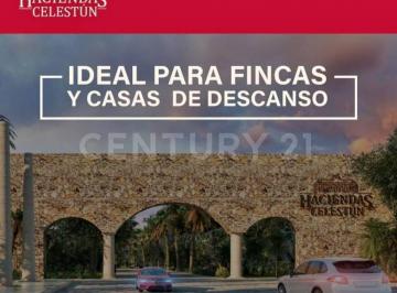 Terreno / Lote · 14858m² · Terreno en Venta en Celestún, Yucatán