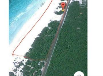 Terreno / Lote · 10000m² · Terreno en Venta en Tulum.