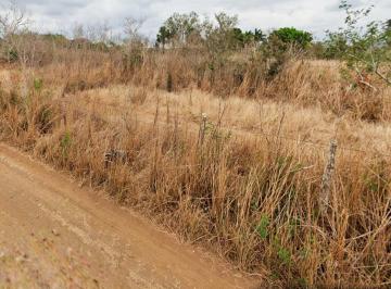 Terreno / Lote · 220000m² · Terrenos en Venta, Aldama, Tamaulipas.