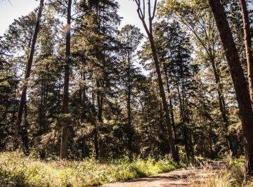 Terreno / Lote · 1096m² · Terrenos Campestre en Venta en Gomez Palacio Dgo.