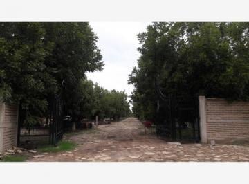 Terreno / Lote · 1018m² · Terrenos Campestres en Venta en Gomez Palacio Dgo.