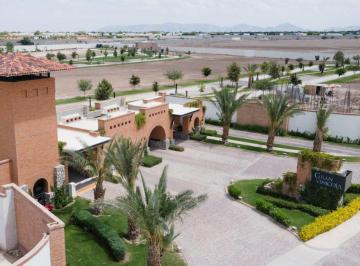 Terreno / Lote · 465m² · Terreno en Venta en La Gran Vinicola, Gomez Palacio, Dgo