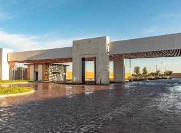Terreno / Lote · 1000m² · Terreno en Venta en Las Villas del Cardenchal en Torreon