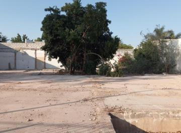 Terreno comercial · 914m² · 1 Recámara · Terreno en Renta San Isidro Torreón
