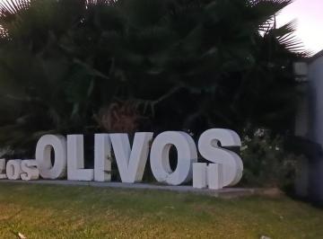 Terreno / Lote · 159m² · Terreno en Venta Los Olivos, Gómez Palacio, Dgo.