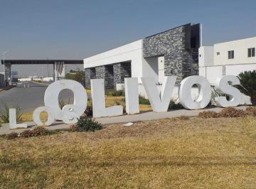 Terreno / Lote · 160m² · Terreno en Venta Los Olivos, Gómez Palacio, Dgo.