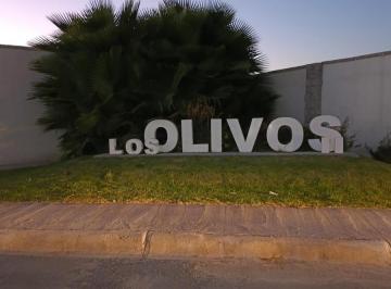 Terreno / Lote · 236m² · Terreno en Venta en Los Olivos, Gómez Palacio, Dgo.