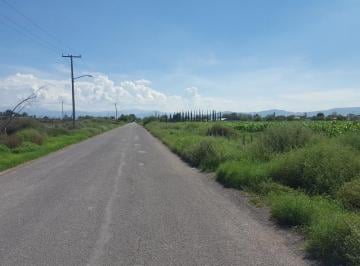 Terreno / Lote · 17078m² · Terreno en Venta en El Olivo, Matamoros, Coah