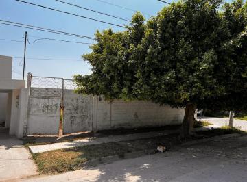 Terreno / Lote · 350m² · Terreno en Venta en Las Rosas, Gomez Palacio