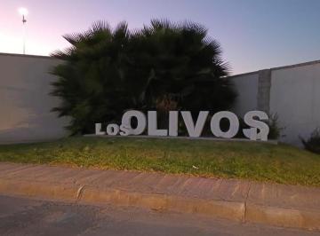 Terreno / Lote · 242m² · Terreno en Venta en Los Olivos, Gómez Palacio, Dgo.