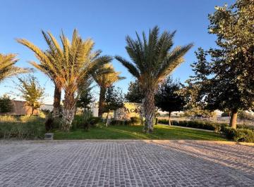 Terreno / Lote · 292m² · Terreno en Venta en La Cava Gómez Palacio