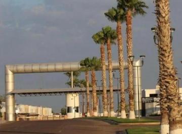 Terreno / Lote · 200m² · Terreno en Venta en Villas del Renacimiento, Torreon Coah.