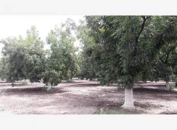 Terreno / Lote · 1037m² · Terrenos Campestres en Venta en Gomez Palacio Dgo.