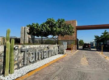 Terreno / Lote · 354m² · Terreno en Venta en Tamarindos, Las Quintas Torreon