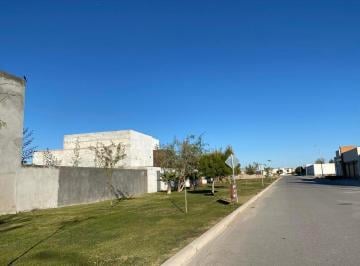 Terreno / Lote · 500m² · Terreno en Ventaen Hacienda del Rosario 3a. Etapa, Torreon, Coah.