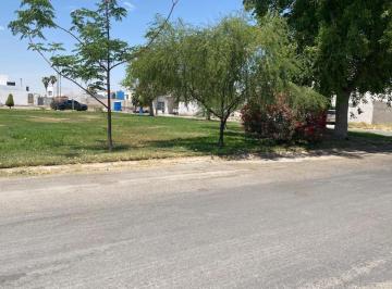 Terreno / Lote · 200m² · Terreno en Venta en Villas del Renacimiento Torreon Coah.