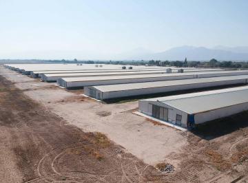 Terreno comercial · 84905m² · Rancho Avícola en Venta en Gomez Palacio, Dgo