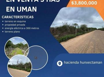Terreno / Lote , Umán · Terreno de Oportunidad en Hacienda Hunxectaman, Umán, Yucatán