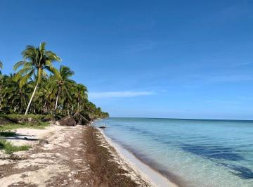 ca6daef74d8bfc73c18ed0614541b400f884143ec4c902f676fc80ebb6e2913c · Terreno en Venta Frente Al Mar en San Crisanto, Yucatán.