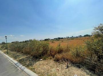 dead478a7d733df3e75fb45c11501419297ab4ac5aad13cfa303a45ed88ade21 · Terreno en Venta en Lomas de Cocoyoc