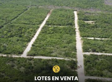 Terreno / Lote , Seyé · Se Vende Terreno en Mérida, Yucatán